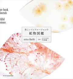 美しいインクルージョンの鉱物図鑑