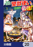 幼馴染のS級パーティーから追放された聖獣使い。万能支援魔法と仲間を増やして最強へ！【分冊版】　20