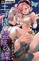 王子様と盗賊の蝶【マイクロ】 19