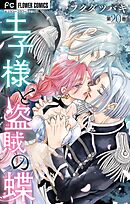 王子様と盗賊の蝶【マイクロ】 20