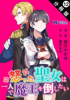 怒った聖女は一人で魔王を倒したい（コミック） 分冊版 ： 12