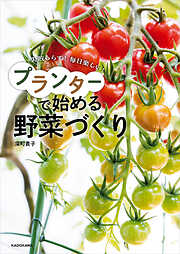 失敗しらず！ 毎日楽しい！　プランターで始める野菜づくり