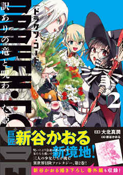 DRAKEN・CODE　訳ありの竜と呪われた姫（コミック）【電子版特典付】２