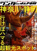 ワンダーJAPON（12）～日本で唯一の「異空間」旅行マガジン！～