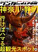 ワンダーJAPON（12）～日本で唯一の「異空間」旅行マガジン！～