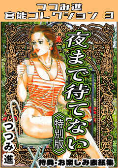 夜まで待てない＜お楽しみ表紙集入り特別版＞・つつみ進官能コレクション3