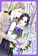 魔法使い様の愛し方　2巻