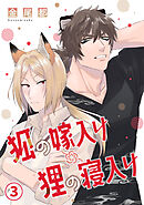 狐の嫁入り狸の寝入り(3)