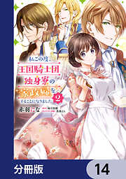 私この度、王国騎士団独身寮の家政婦をすることになりました【分冊版】