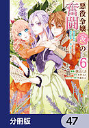 悪役令嬢（仮）の奮闘【分冊版】　47