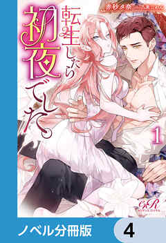 転生したら初夜でした。【ノベル分冊版】　4