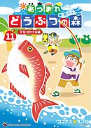 あつまれ どうぶつの森 ～無人島Ｄｉａｒｙ～ 11