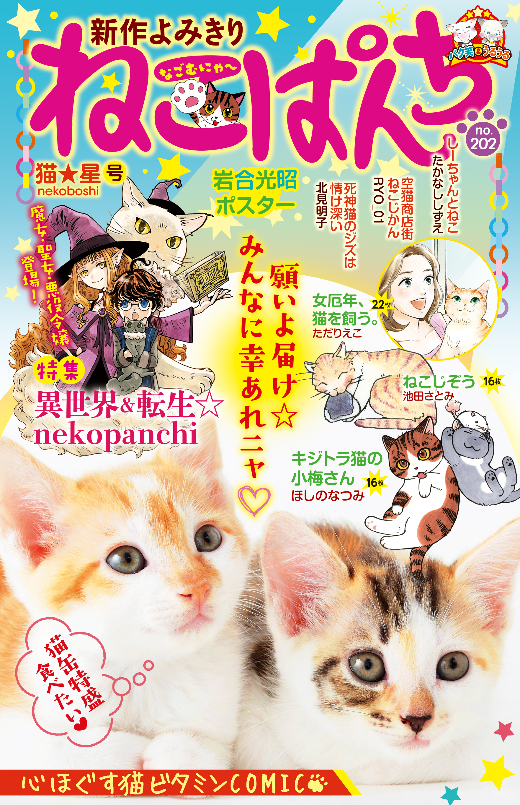 猫 パンチ 雑誌