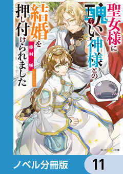 聖女様に醜い神様との結婚を押し付けられました【ノベル分冊版】　11