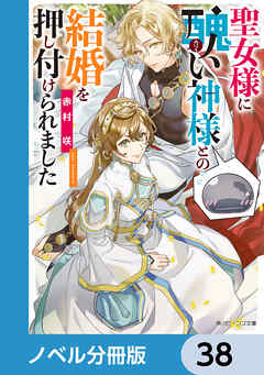 聖女様に醜い神様との結婚を押し付けられました【ノベル分冊版】　38