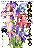ハヤテのごとく！ 完全版 18