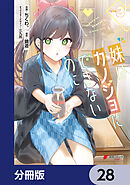 妹はカノジョにできないのに【分冊版】　28