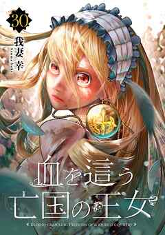 血を這う亡国の王女【分冊版】 30
