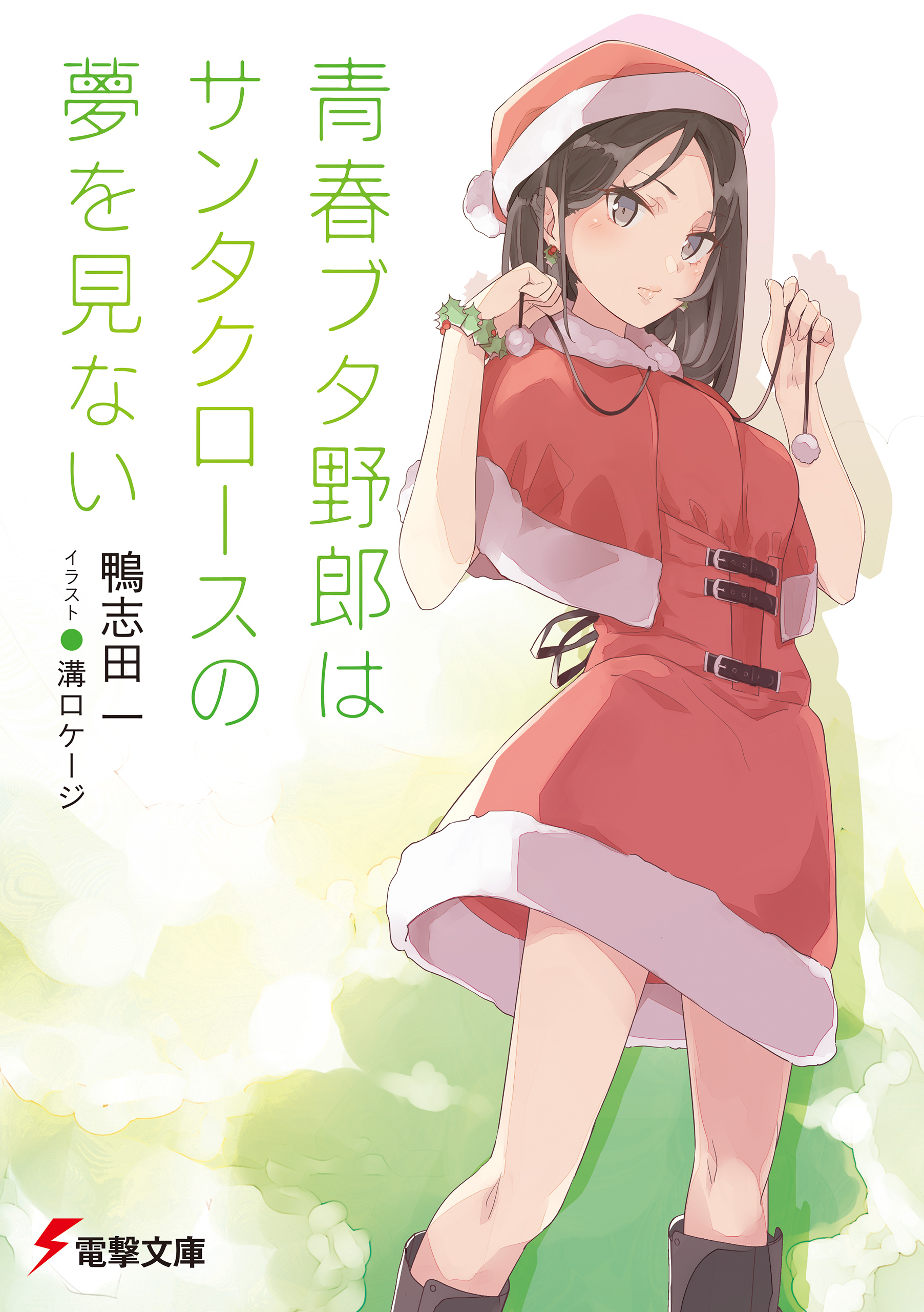 青春ブタ野郎はマイスチューデントの夢を見ない - 文学・小説