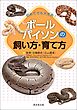 初めてでも大丈夫！ボールパイソンの飼い方・育て方