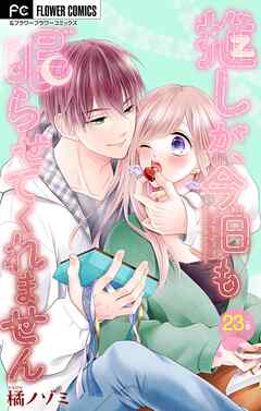 推しが、今日も眠らせてくれません【マイクロ】 23