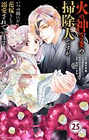 火の神さまの掃除人ですが、いつの間にか花嫁として溺愛されています【単話】 25