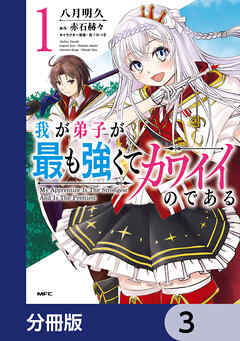 我が弟子が最も強くてカワイイのである【分冊版】　3