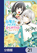 氷魔法のアイス屋さんは、暑がり神官様のごひいきです。【分冊版】　21