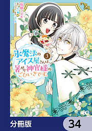 氷魔法のアイス屋さんは、暑がり神官様のごひいきです。【分冊版】