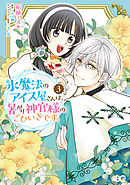 氷魔法のアイス屋さんは、暑がり神官様のごひいきです。 3