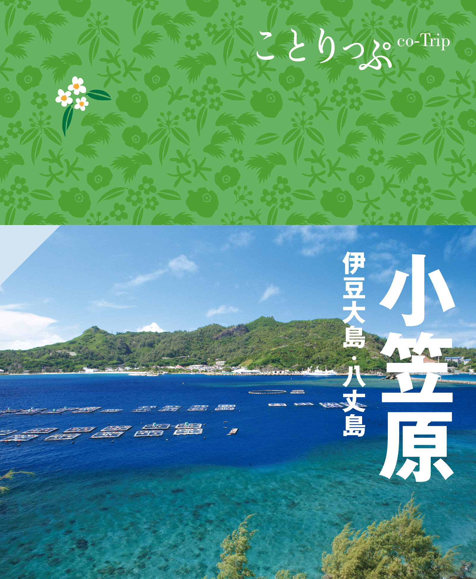 ことりっぷ 小笠原 伊豆大島・八丈島'23 - 昭文社 - 漫画・ラノベ ...