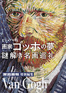 ビジュアル版 画家ゴッホの夢 謎解き名画巡礼