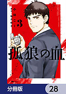 孤狼の血【分冊版】　28