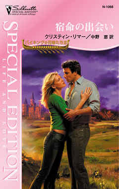 宿命の出会い　バイキングの花嫁たち ＩＩＩ