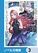 拝啓見知らぬ旦那様、離婚していただきます【ノベル分冊版】　3