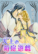天上の箱庭遊戯 2巻
