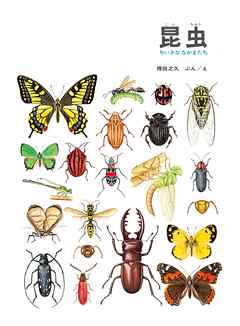 昆虫　ちいさななかまたち