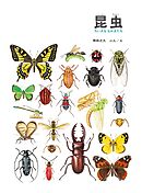 昆虫　ちいさななかまたち