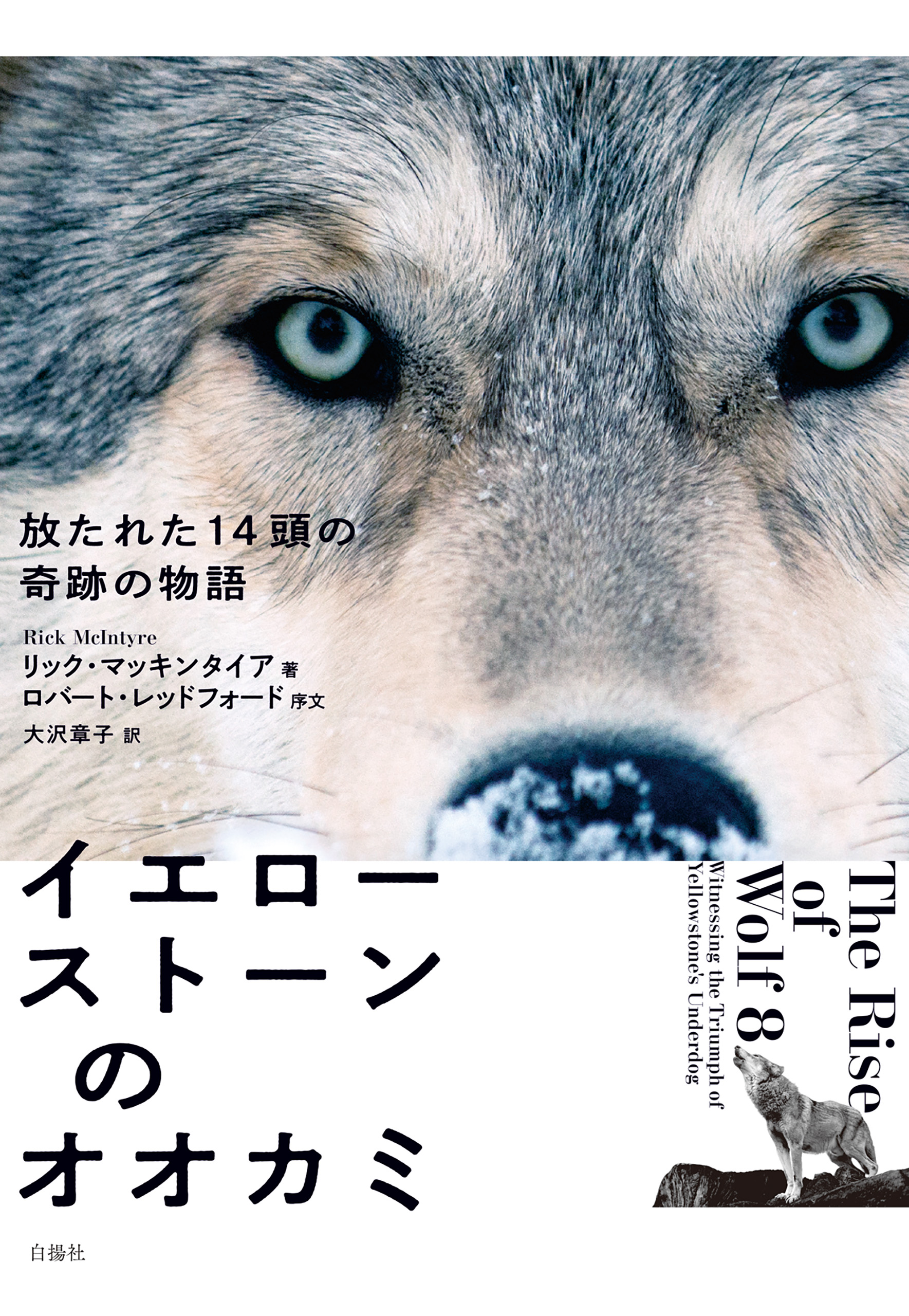 イエローストーンのオオカミ　放たれた14頭の奇跡の物語 | ブックライブ