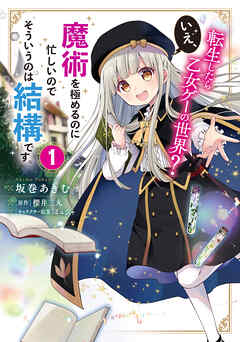 転生したら乙女ゲーの世界？ いえ、魔術を極めるのに忙しいのでそういうのは結構です。【タテスク】　Chapter16