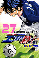 エリアの騎士【極！単行本シリーズ】27巻