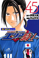 エリアの騎士【極！単行本シリーズ】45巻