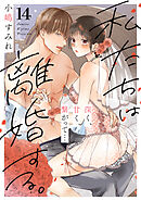 私たちは離婚する。深く、甘く、繋がって…(14)