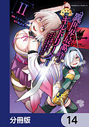 異世界最高峰のギルドリーダー【分冊版】　14