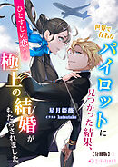 世界で有名なパイロットに見つかった結果、ひとすじの恋から極上の結婚がもたらされました。【分冊版】1