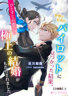 世界で有名なパイロットに見つかった結果、ひとすじの恋から極上の結婚がもたらされました。【分冊版】3