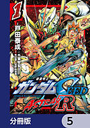 機動戦士ガンダムSEED ASTRAY R【分冊版】　5