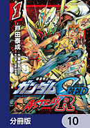 機動戦士ガンダムSEED ASTRAY R【分冊版】　10