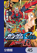 機動戦士ガンダムSEED ASTRAY R【分冊版】　45