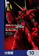 機動戦士ガンダムSEED DESTINY ASTRAY Re: Master Edition【分冊版】　10